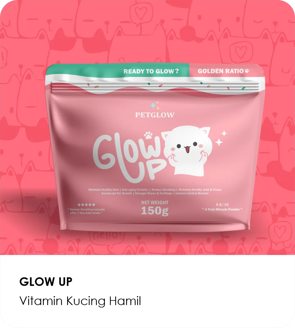 Petglow Glow Up